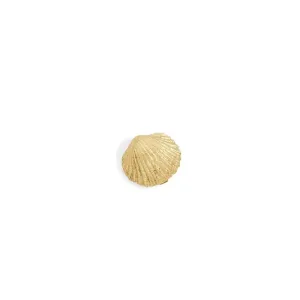 tiny seashell studs - pair
