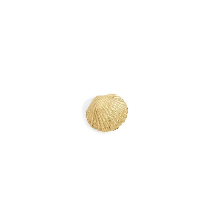 tiny seashell studs - pair