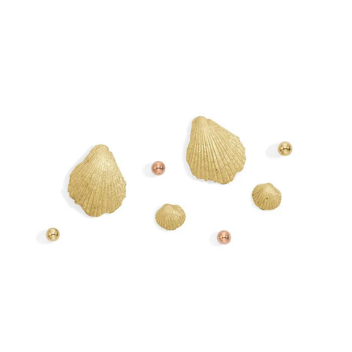 tiny seashell studs - pair