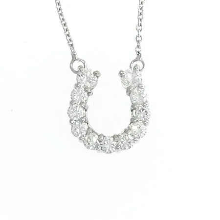 Tiny Treasures Large Horseshoe Necklace