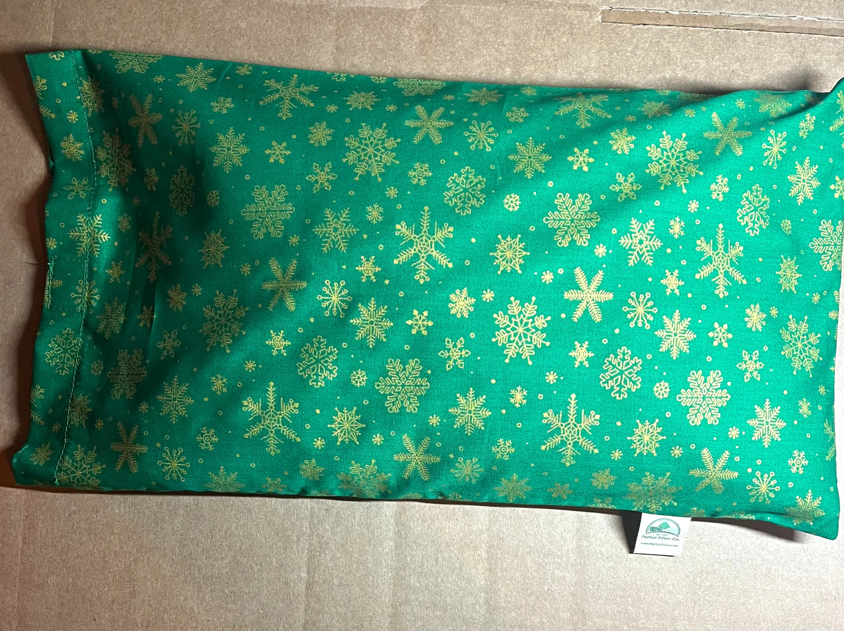 Travel Pillow