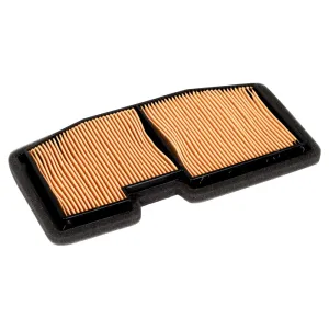 Triumph Air Filter T2200987