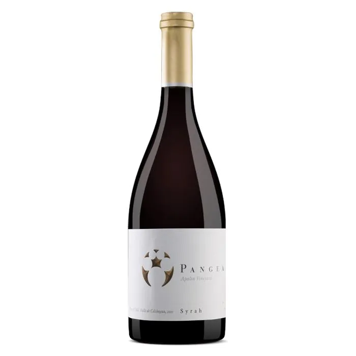 Ventisquero, 'Pangea,' Syrah, Apalta Vineyard, Chile, 2016