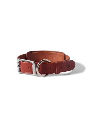 Voyej Dog Collar Chestnut