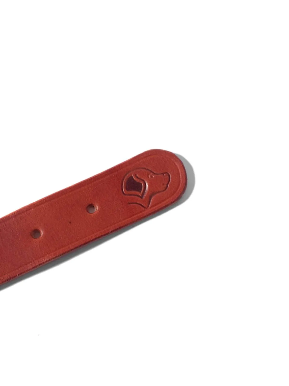 Voyej Dog Collar Chestnut