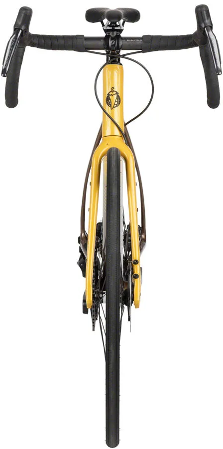Warroad C Ultegra Di2 Bike - Gold Fade