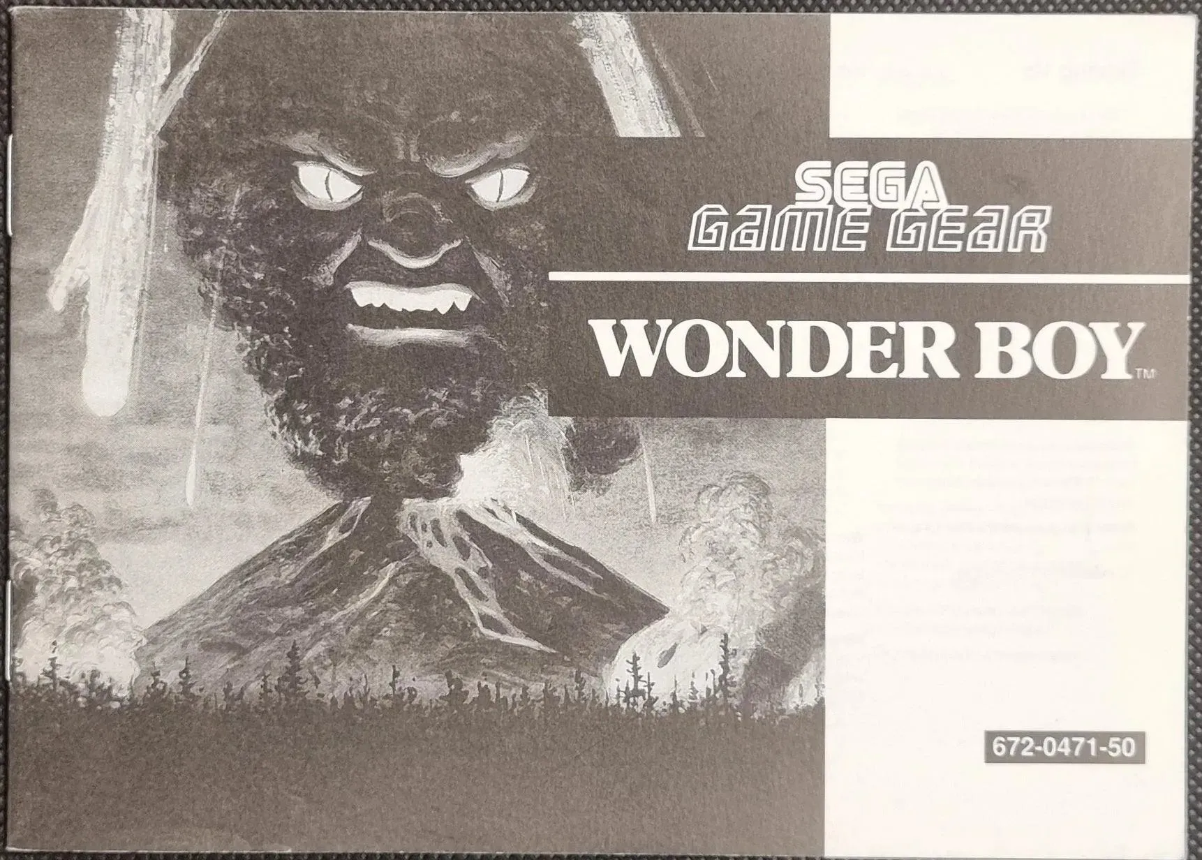 Wonder Boy manual